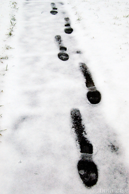footprints_in_the_slush_16_365_annasangle