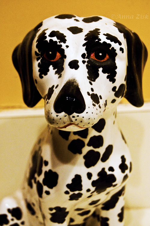 dog_figurine_collector_19_365_annasangle