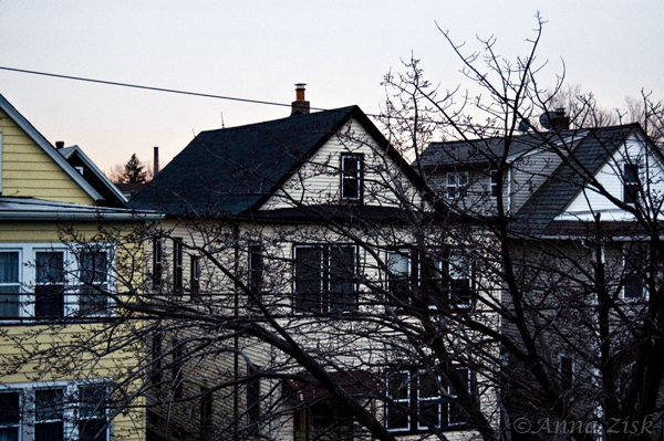 surrounded_by_houses_21_365_annasangle