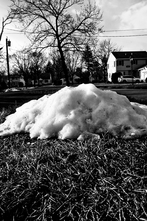 too_cold_to_melt_23_365_annasangle