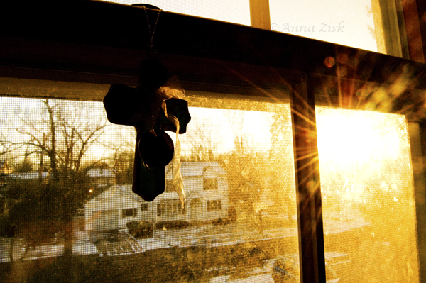 protection_from_up_above_26_365_annasangle