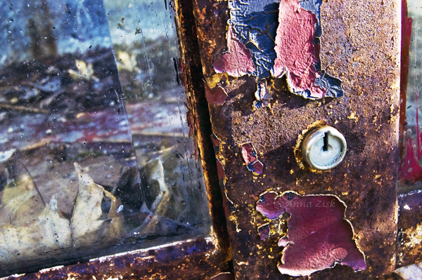 peeltherust_7_365_annasangle