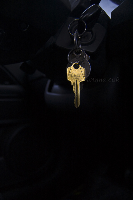 goldenhousekey_2_365