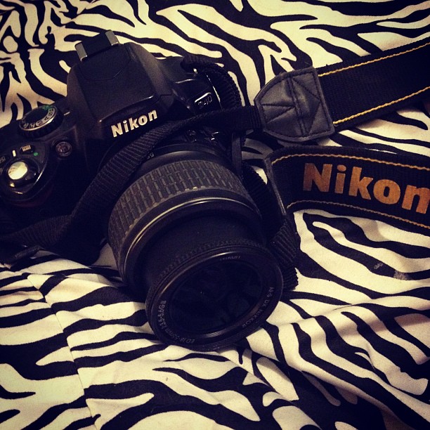 nikond40_1_365_1_1_13