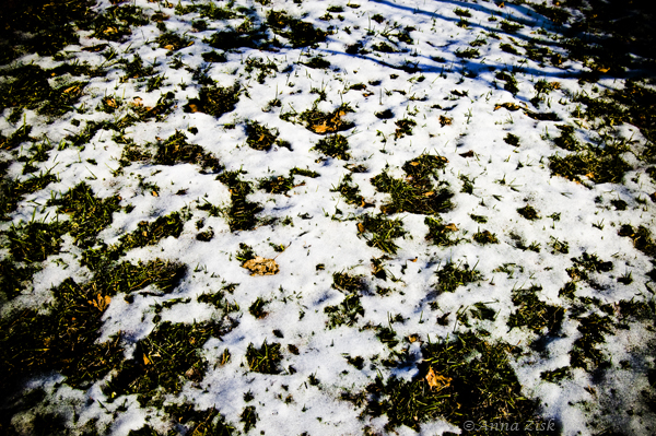 slowly_melting_away_4_365_annasangle