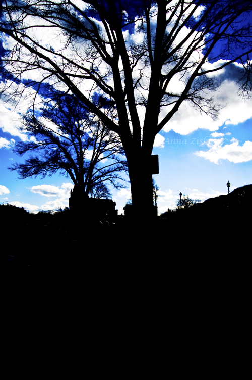 a_breezy_sky_32_365_annasangle