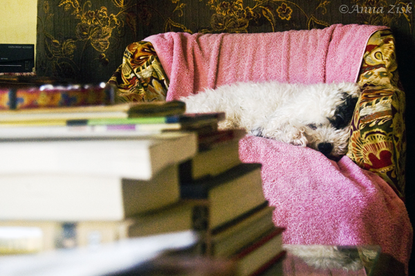 nap_time_43_365_annasangle