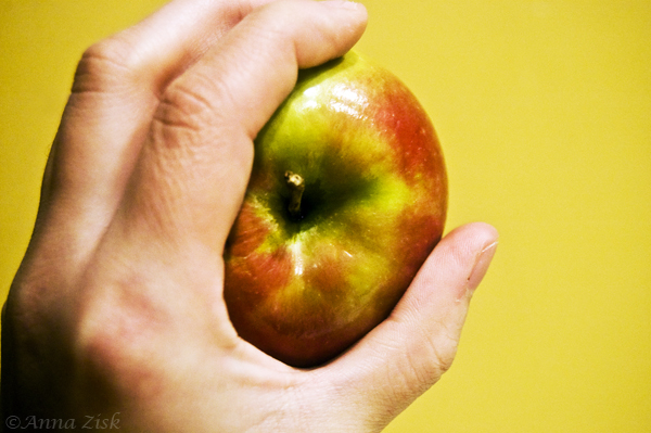 an_apple_a_day_44_365_annasangle