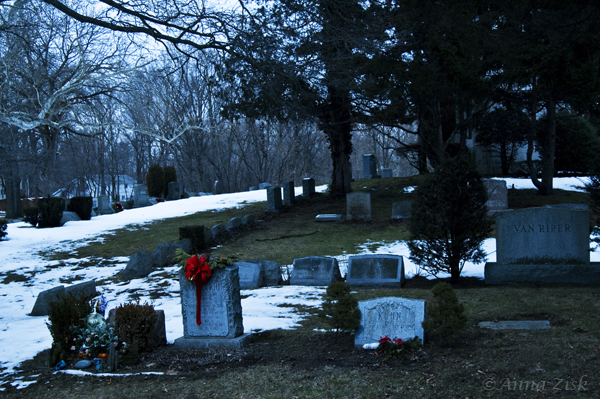winter_cemetery_47_365_annasangle