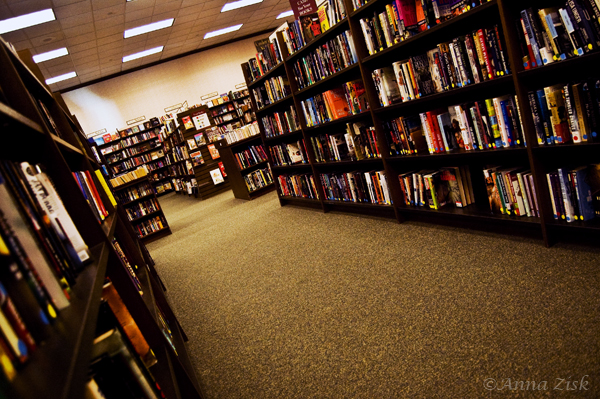 noble_books_49_365_annasangle