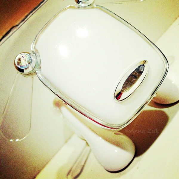 musical_puppy_54_365_annasangle