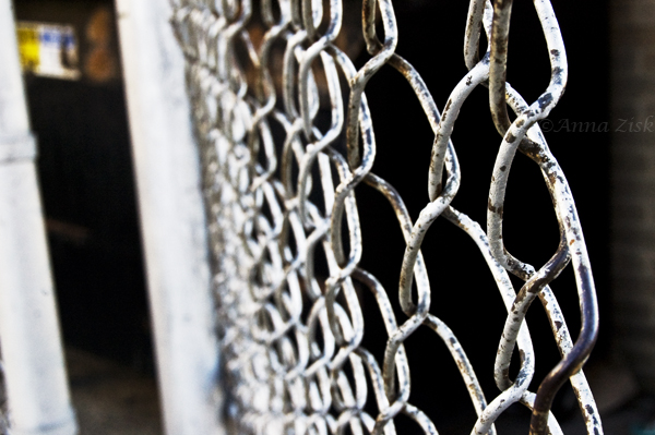 chain_link_fence_35_365_annasangle