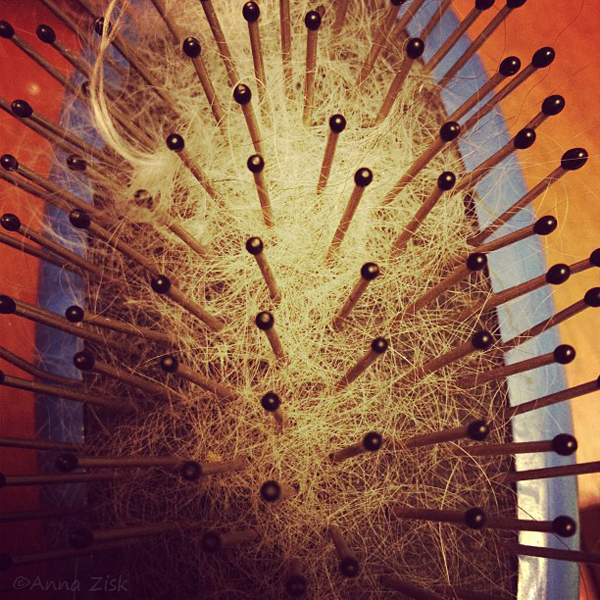 dog_hairbrush_annasangle