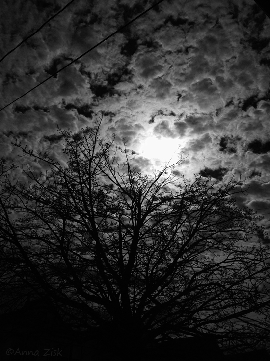 longer_days_annasangle