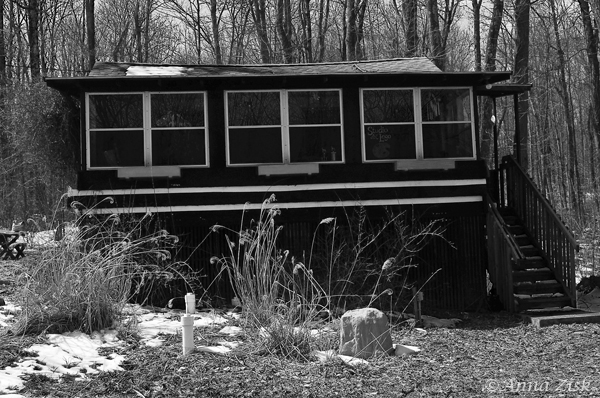 cabin_in_the_winter_annasangle