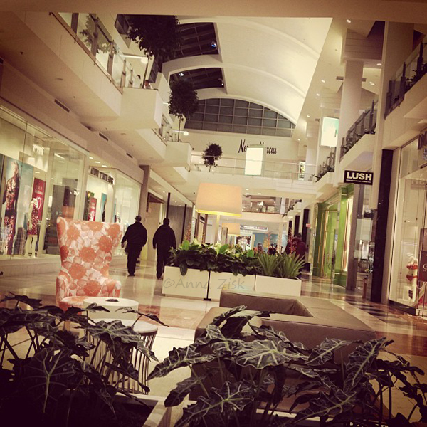 walking the mall_annasangle