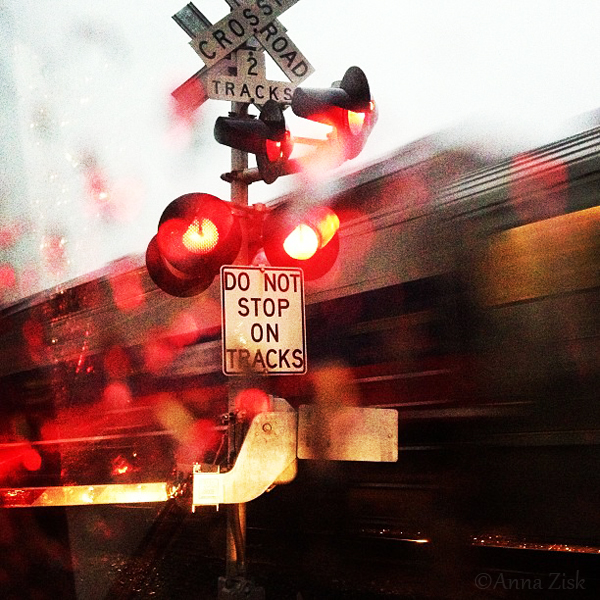 train_in_rain_annasangle