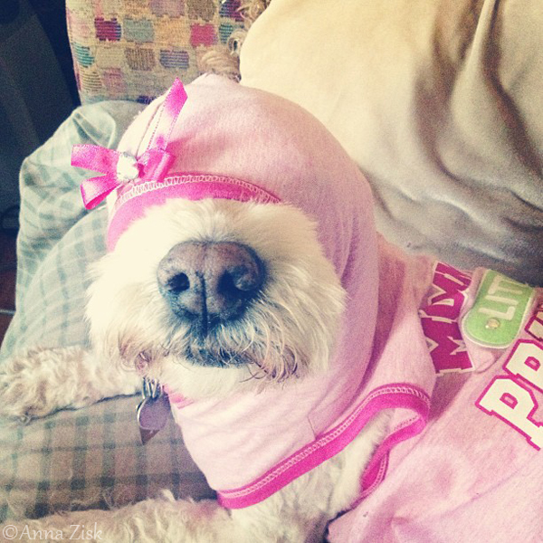 in_the_hood_annasangle