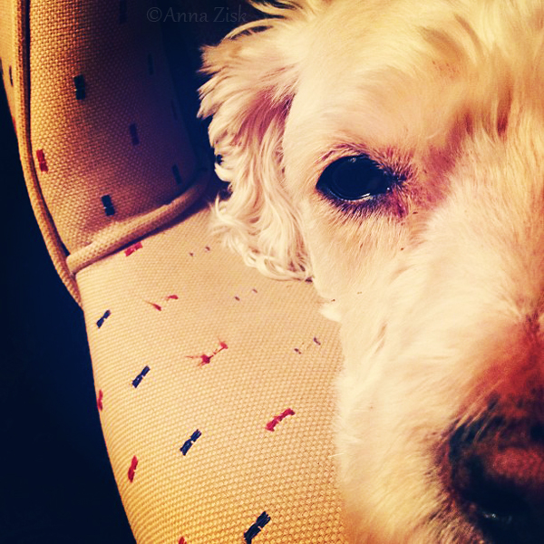 half_of_lady_annasangle