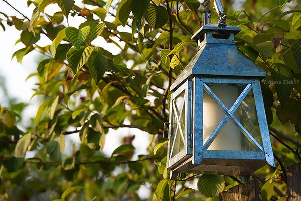 sun_setting_so_early_4_365