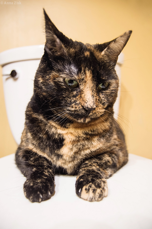 can_i_have_privacy_please?_annas_angle