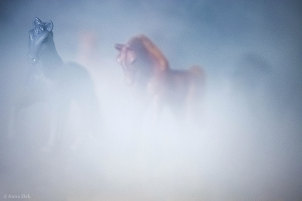 Wild_Horses_Annas_angle