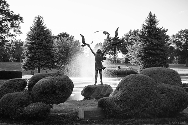 never_forget_the_ones_you've_lost